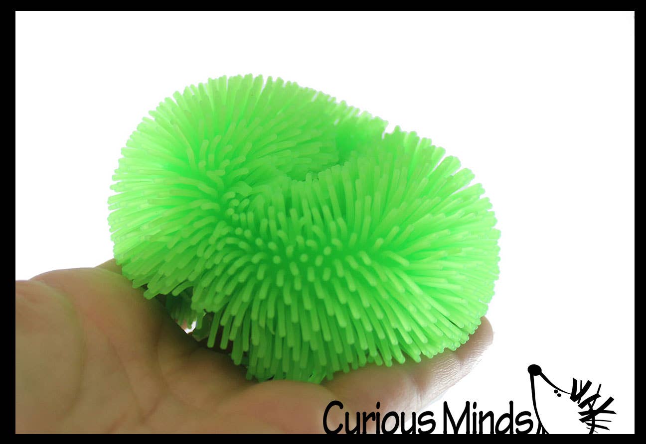 Shaggy Doh Squishy Ball