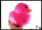 JUMBO Doh Filled Duck Squishy